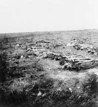 War Losses (Australia) International Encyclopedia the First World War ( WW1)